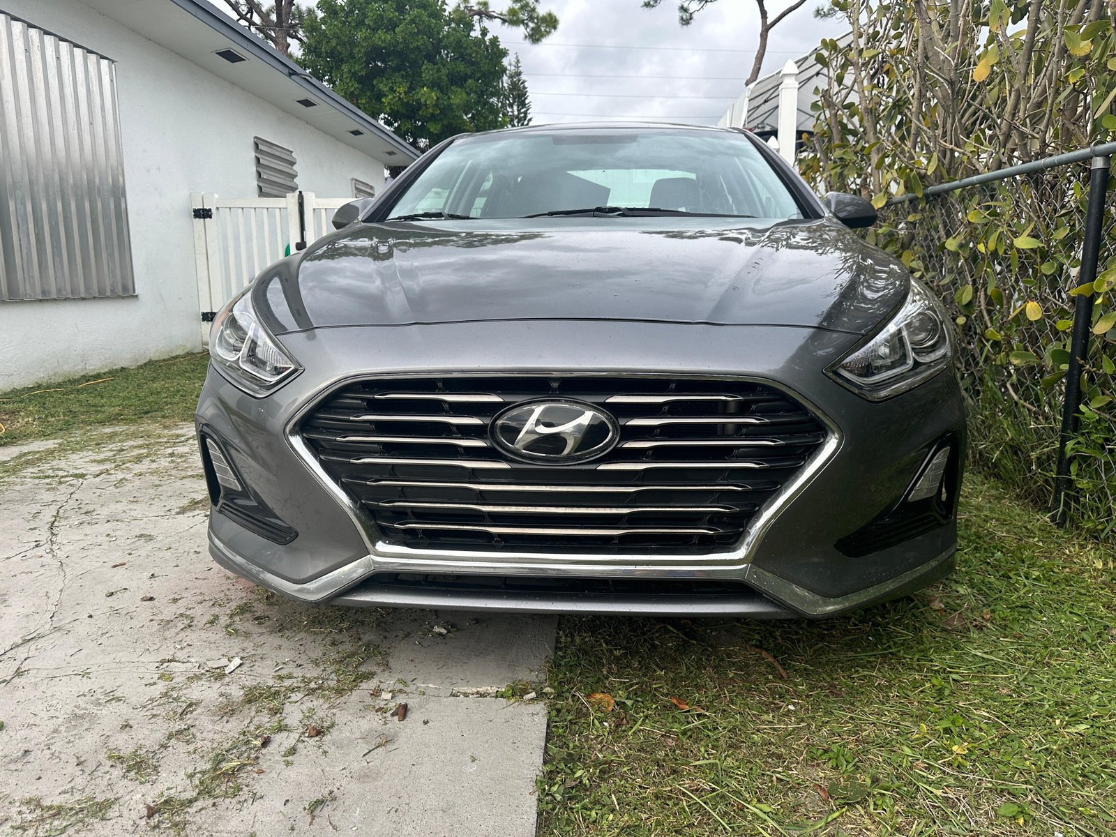 JR Headlight Restoration FL