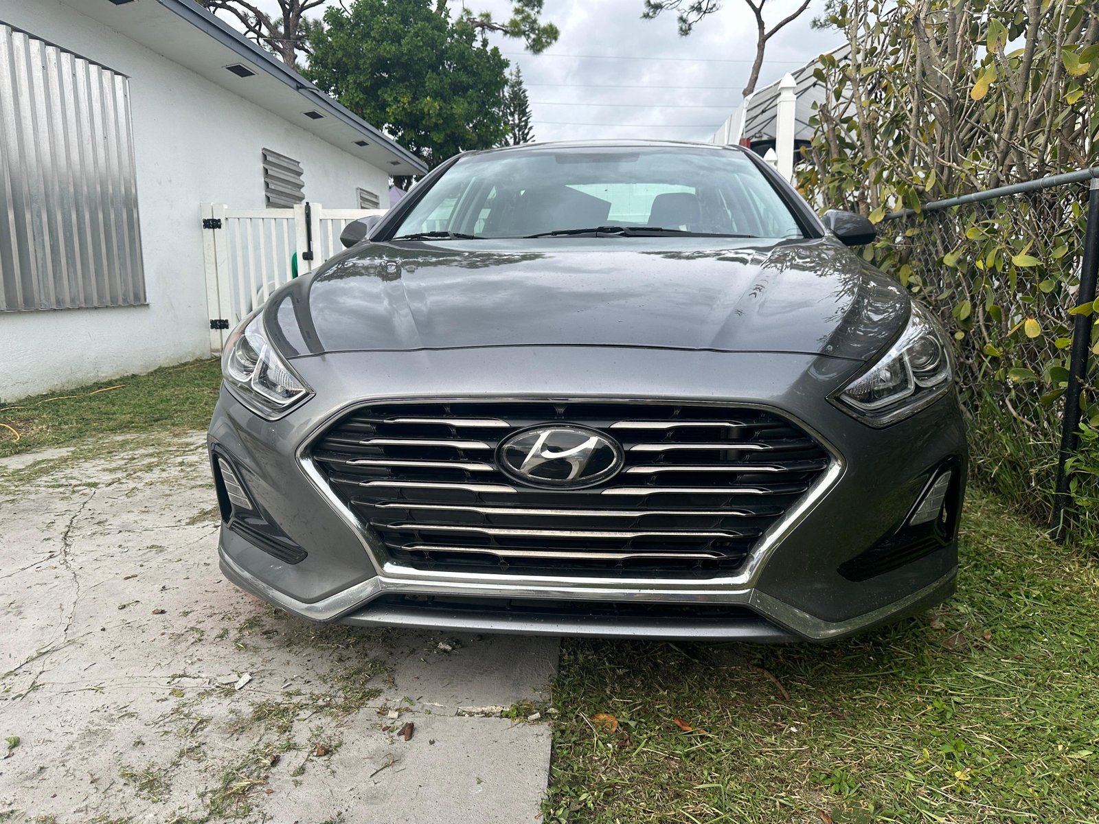 JR Headlight Restoration FL